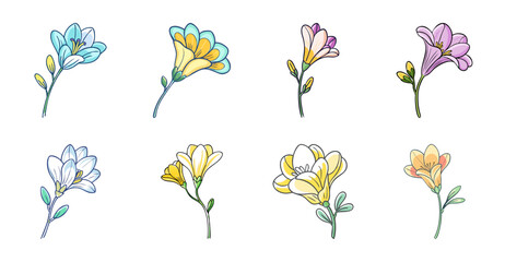 Fototapeta premium Colorful bouquet of flowers in a row