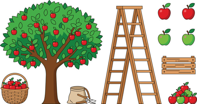 Apple Orchard Harvesting Vector Element Set Featuring Fruit Tree Stepladder Basket Crate Sac Pruning Shears Red and Green Apples