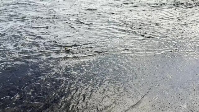 Close-up of rippling river water surface over shallow bed