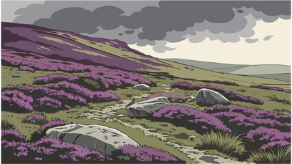 Moorland landscape with purple heather and rocky path under stormy skies © Mahdi