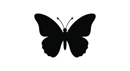 Black Butterfly Silhouette On White Background Minimalist Insect Shape © Momtaj
