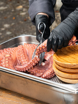 Close-Up of Octopus Preparation