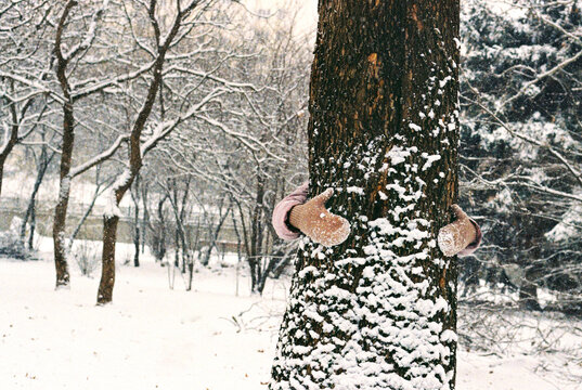 Hands in knitted mittens grasping the trunk of a snow-covered tree.