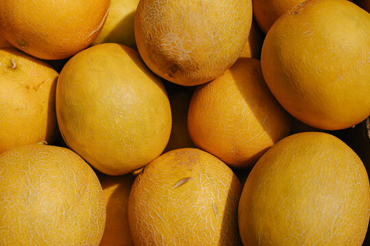 Cantaloupe melons background