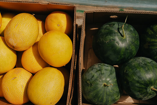 Green and yellow watermelon 