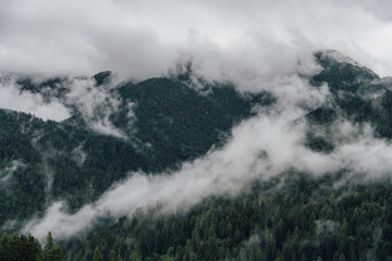 Naklejka premium Rolling Mountain Ridges Covered in Forest and Mist