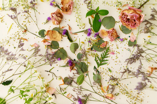 Dried Flowers Arranged on a Flat Surface for Decoration Purposes