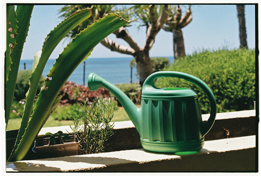 Green Watering Can with Aloe Vera and Ocean View, Funchal