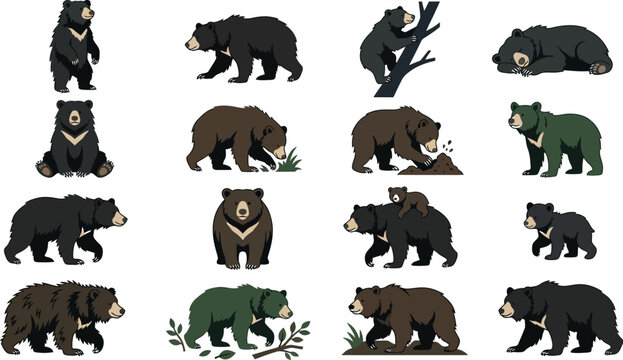 Vector Asiatic Black Bear and Sun Bear Wildlife Icon Set