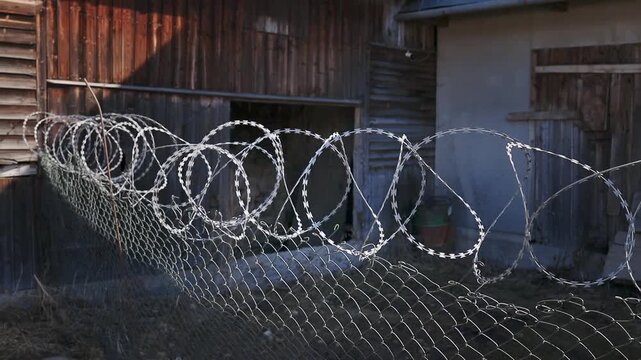Close up view of sharp concertina razor barbed wire coils installed on top of a chain link mesh fence. The protective boundary barrier stands in front of old rustic wooden buildings, symbolizing