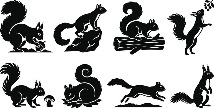 Cute squirrel silhouette vector collection featuring funny forest animals in various poses and actions