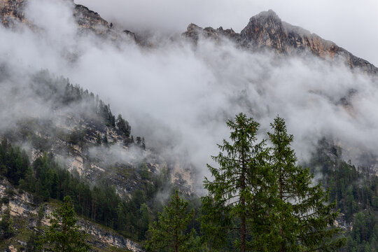 Two foreground spruces stand against a fog-filled mountain face as the crown of Piz de Pares breaks through cloud in South Tyrol, Italy