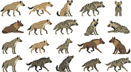Fototapeta premium Flat Vector Spotted, Striped, and Brown Hyena Collection in Various Poses