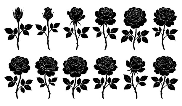 Elegant Black and White English Rose Silhouette Vector Set with Botanical Floral Blooms and Rosebuds Isolated on White Background