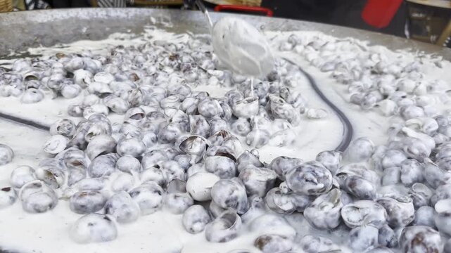 Male hand in glove stirs snails shells in creamy sauce with long spoon during cooking process in restaurant kitchen. The snails simmer gently on metal cooking surface coated in rich sauce. Slow motion