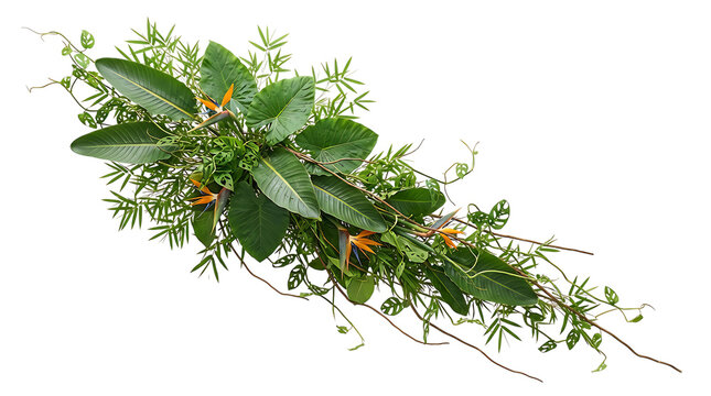 Fresh green bay leaves branch with small orange berries isolated on a clean surface perfect for culinary herbs and spice design elements for cooking and organic food packaging projects