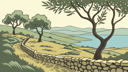 Obraz premium Mediterranean olive tree grove with stone wall and sea view landscape outdoors