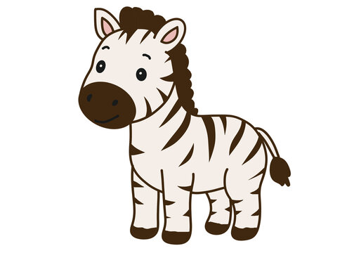 zebra cartoon isolated on white