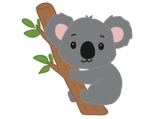 koala bear in tree