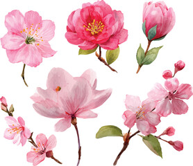 Obraz premium set of pink flowers