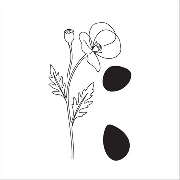 Minimalist line art poppy flower combined with a semicolon symbol remembrance day