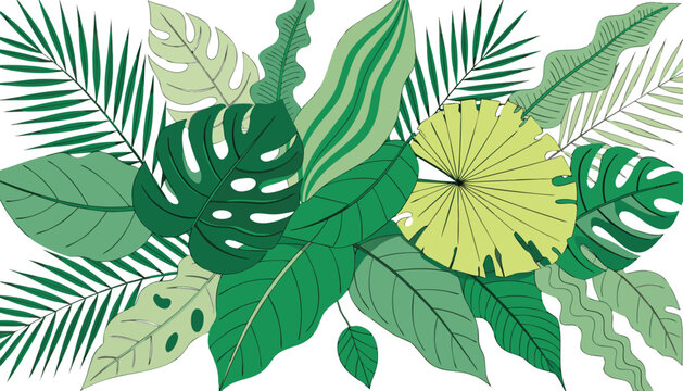 Tropical monstera and palm leaves seamless pattern. Lush green foliage botanical vector illustration for nature designs and home decor.