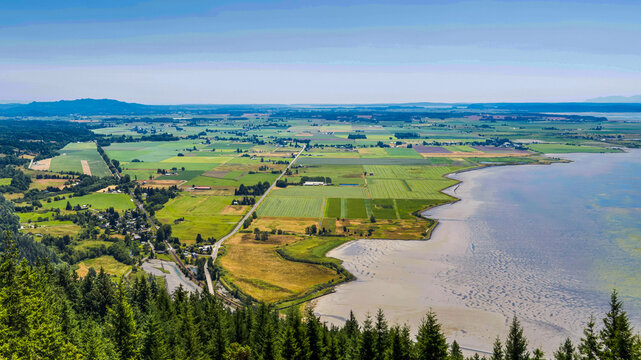 Panoramic Views of Samish Bay from Samish Overlook, Washington, USA