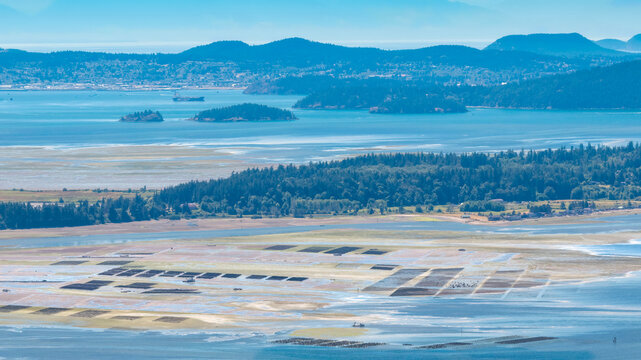 Panoramic Views of Samish Bay from Samish Overlook, Washington, USA