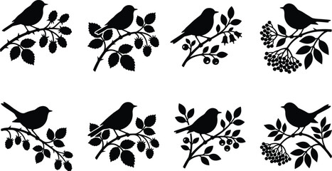 Bird and berry branch silhouette designs with perched birds and leafy twigs © Tumpa Rani