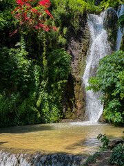 A gentle waterfall cascades down a rocky cliff surrounded by lush green foliage, with vibrant red flowers blooming beside a calm turquoise pool © Татьяна Швец