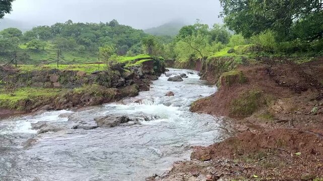 Water stream in the Western Ghats of India during the lush monsoon season.