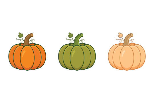 Set of three colorful autumn pumpkins with vines and leaf details.
