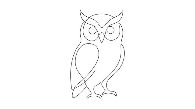 Continuous single line drawing of an owl animated on a plain white background