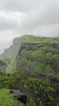 Bhimashankar Wildlife Sanctuary in stunning 4K during the monsoon season.