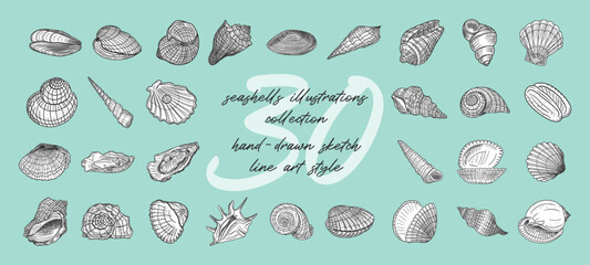 A diverse assortment of detailed, vintage-style sketches showcasing different types of marine shells and bivalves. Hand-drawn line art illustrations in sketch style © Liia Lonn
