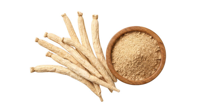 Raw dried burdock root sticks and a wooden bowl filled with sliced pieces for healthy herbal medicine