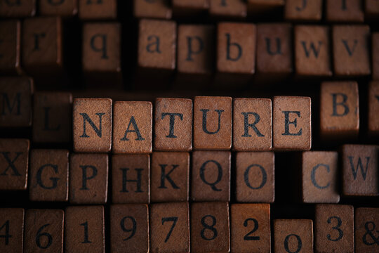 Word NATURE spelled with vintage wooden letter stamps among other letter blocks.