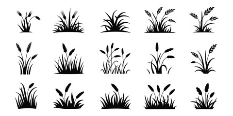 Grass icons illustrating black silhouette plants, wild vegetation, and botanical foliage isolated on white background with clean minimalist vector graphics for landscaping, garden themes, floral borde © MD. ARIF ISLAM