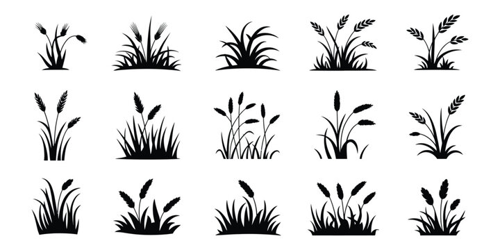 Grass icons illustrating black silhouette plants, wild vegetation, and botanical foliage isolated on white background with clean minimalist vector graphics for landscaping, garden themes, floral borde
