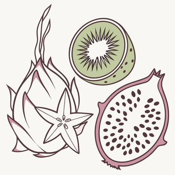 Colorful fruit illustration featuring kiwi, dragon fruit, and starfruit. Artistic vector set of tropical fruits for healthy eating and diet themes.