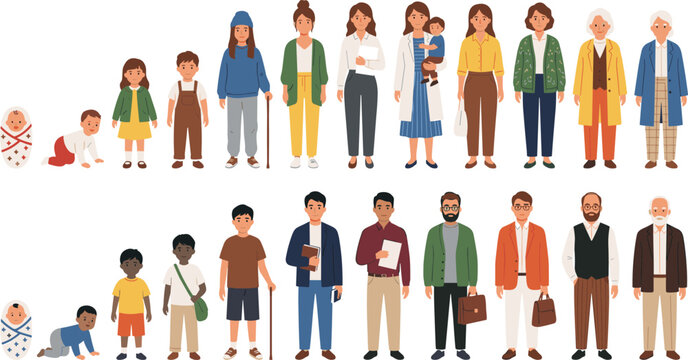 Human life cycle stages illustration showing male and female growth from infancy to old age