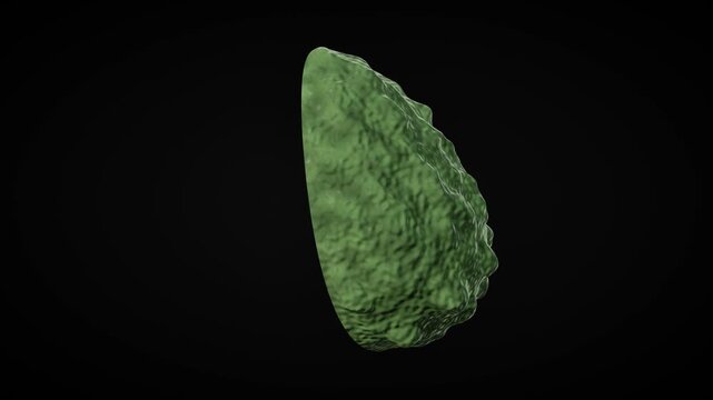 Sliced avocado on black background. 3d rendering