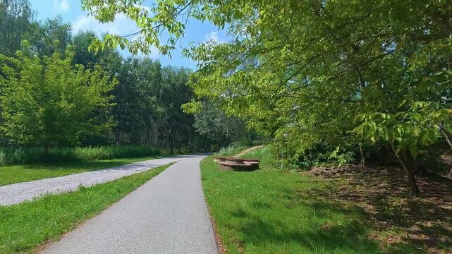 Park pathway curving through green trees on sunny day