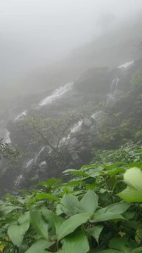 Dramatic light illuminates a misty waterfall in the lush Western Ghats during the monsoon season.