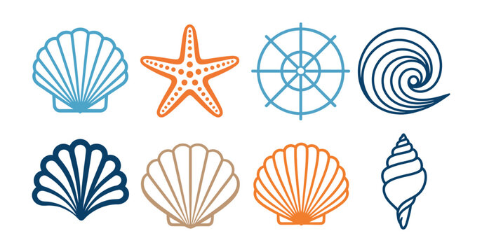 Seashell icons illustrating colorful starfish, sand dollar, scallop, conch shell, and ocean life symbols in minimalist line, flat, and colored vector styles for seaside decoration, travel, marine educ