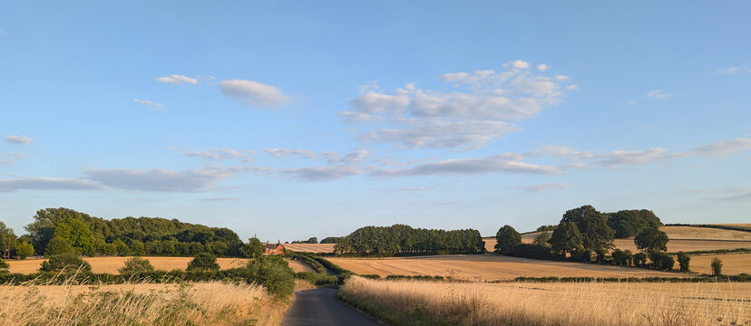 British countryside landscape in the summer with crop fields
