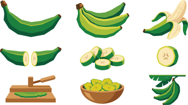 Green Plantain and Cooking Banana Vector Set with Whole Unpeeled Slices Tostones Press and Bowl Food Element Designs