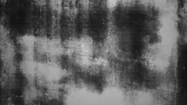 Abstract textured pattern resembling dappled light and shadow in a natural setting with organic shapes and a monochrome grayscale effect transparent background