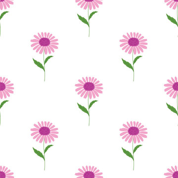 pink coneflower echinacea seamless pattern