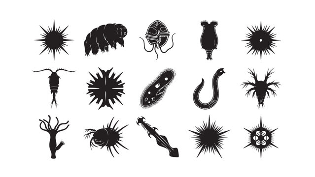 Diverse Microorganisms Silhouettes Collection on White Background